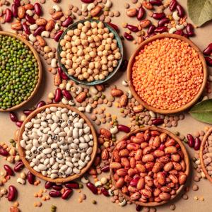Agro Products