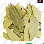 Bay Leaf